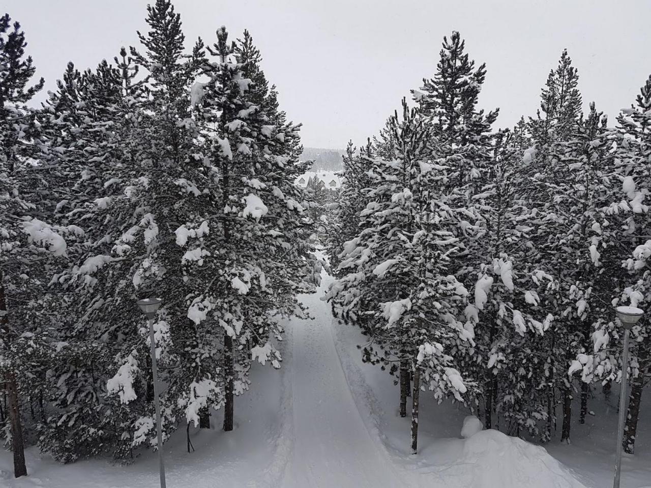 Apartments Bosco Risovac Dış mekan fotoğraf